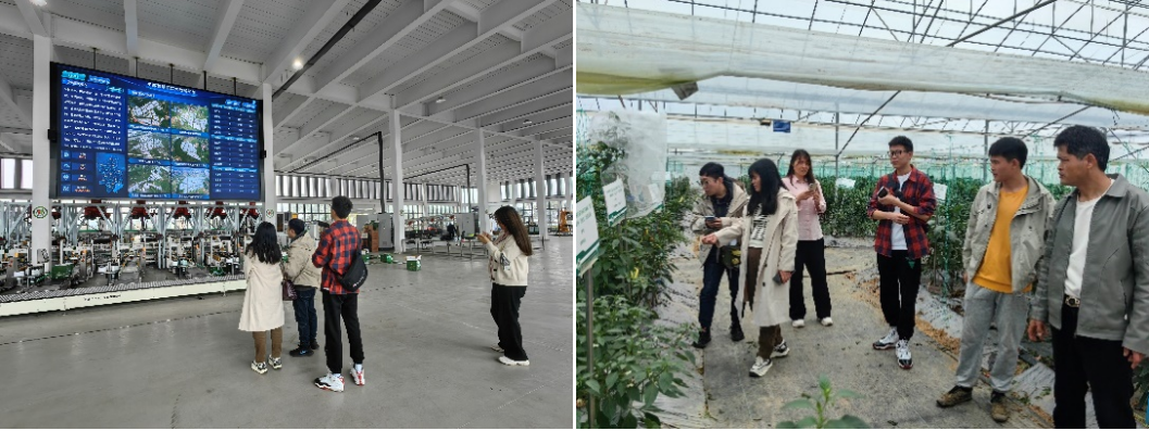 走在前、勇爭先——我院助力江西省寧都縣創(chuàng)建國家現(xiàn)代農(nóng)業(yè)產(chǎn)業(yè)園